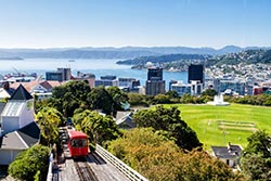 View of Wellington from the top of the cable car