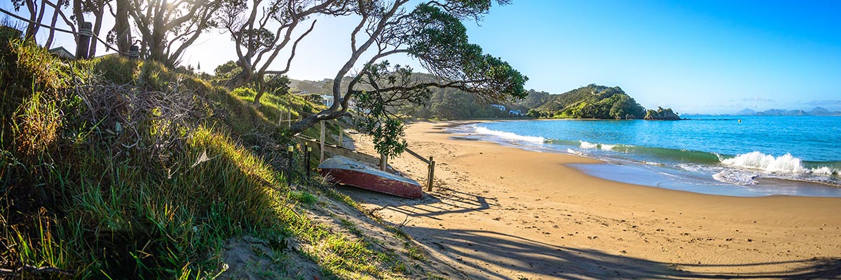 Classic New Zealand beach with a dingy and pohutukawas
