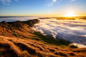 Sunrise over morning mist in Aotearoa
