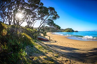 Classic New Zealand beach with a dingy and pohutukawas