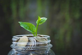 Green shoot sprouting from a jar full of coins